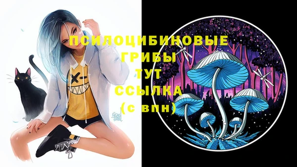 кокс Алзамай